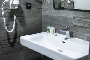 Отель Favor Park Hotel. Бизнес двухместный  6